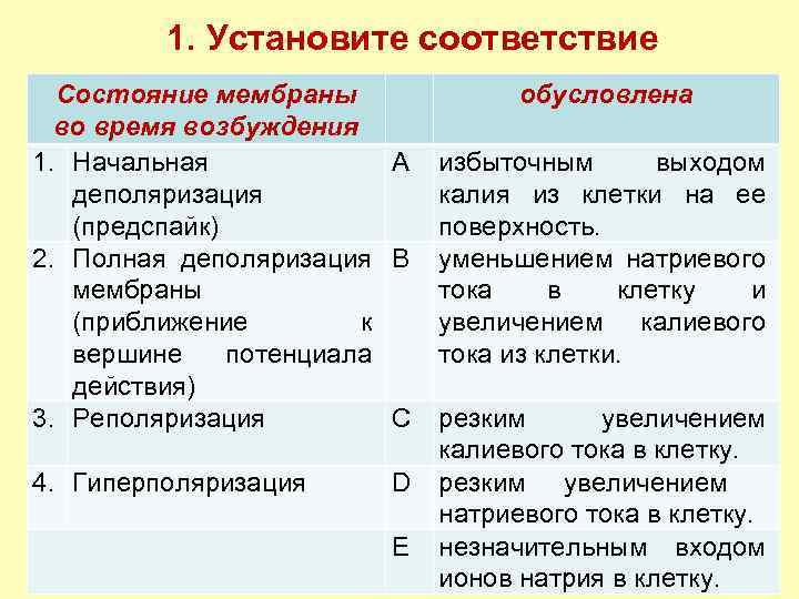 1. Установите соответствие Состояние мембраны обусловлена во время возбуждения 1. Начальная А избыточным выходом