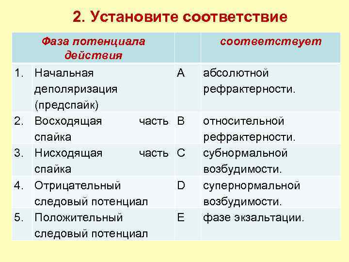 2. Установите соответствие 1. 2. 3. 4. 5. Фаза потенциала действия Начальная деполяризация (предспайк)