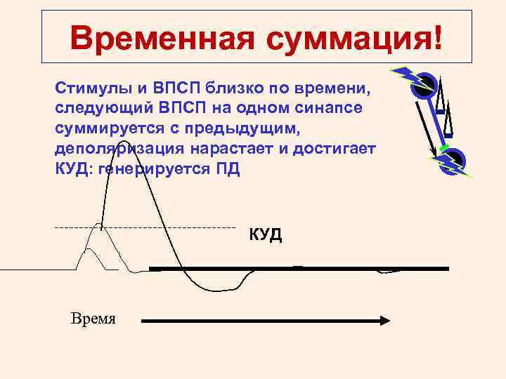 Временная суммация! Стимулы и ВПСП близко по времени, следующий ВПСП на одном синапсе суммируется