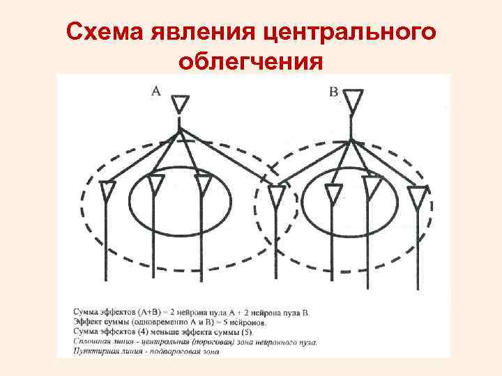 Схема явления центрального облегчения 