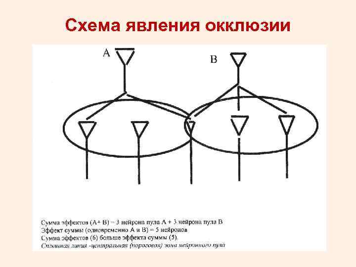 Схема частота шумовых явлений