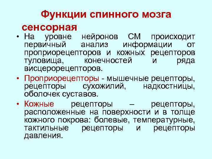 Функции спинного мозга. Сенсорная функция спинного мозга. В спинной мозг поступает сенсорная информация от рецепторов. Рецепторная функция спинного мозга. Проприорецепторы спинного мозга.