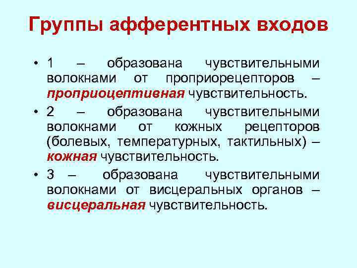 Группы афферентных входов • 1 – образована чувствительными волокнами от проприорецепторов – проприоцептивная чувствительность.