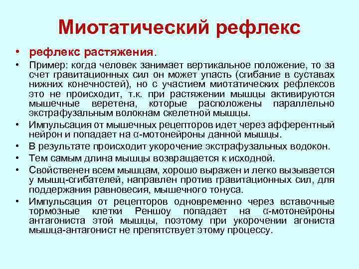 Миотатический рефлекс это