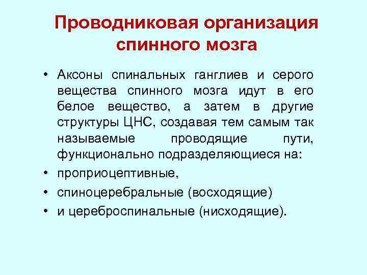 Проводниковая организация спинного мозга • Аксоны спинальных ганглиев и серого вещества спинного мозга идут