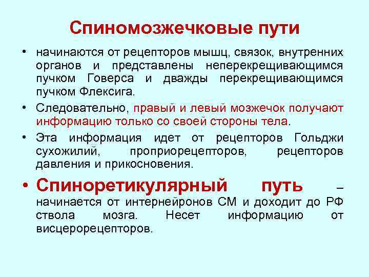 Спиномозжечковые пути • начинаются от рецепторов мышц, связок, внутренних органов и представлены неперекрещивающимся пучком