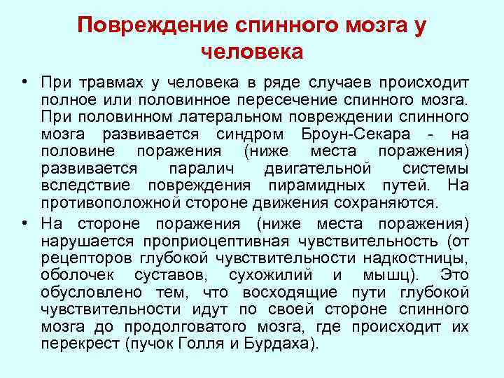 Повреждение спинного мозга у человека • При травмах у человека в ряде случаев происходит