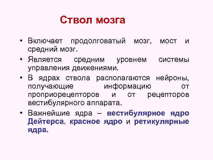 Ствол мозга • Включает продолговатый мозг, мост и средний мозг. • Является средним уровнем