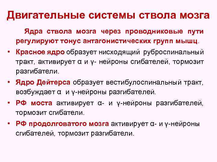 Двигательные системы ствола мозга Ядра ствола мозга через проводниковые пути регулируют тонус антагонистических групп