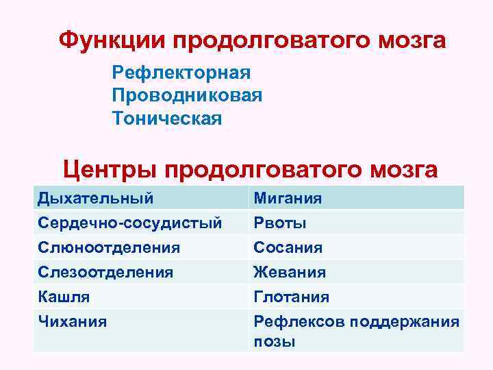 Функции продолговатого мозга Рефлекторная Проводниковая Тоническая Центры продолговатого мозга Дыхательный Сердечно-сосудистый Слюноотделения Слезоотделения Мигания