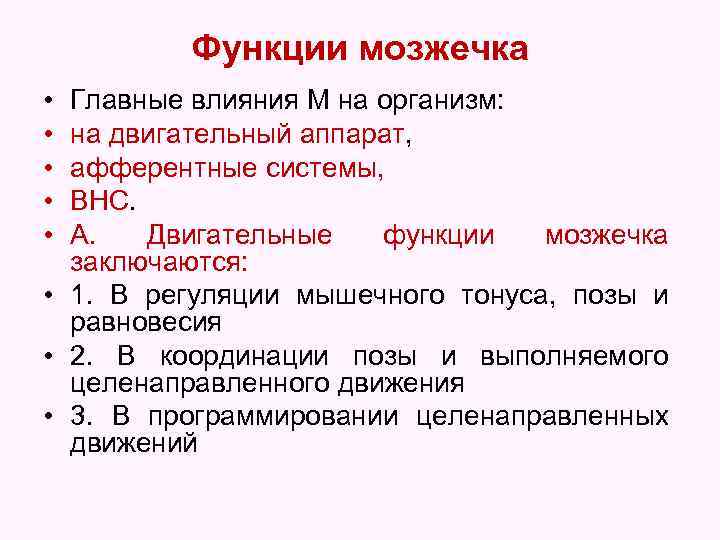 Функции мозжечка • • • Главные влияния М на организм: на двигательный аппарат, афферентные