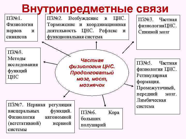 Внутрипредметные связи ПЗ№ 1. Физиология нервов и синапсов ПЗ№ 8. Методы исследования функций ЦНС