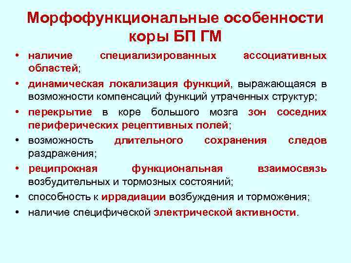 Морфофункциональные особенности коры БП ГМ • наличие специализированных ассоциативных областей; • динамическая локализация функций,