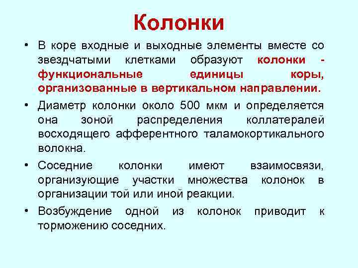Колонки • В коре входные и выходные элементы вместе со звездчатыми клетками образуют колонки