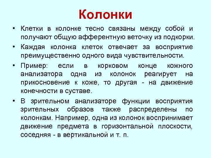 Колонки • Клетки в колонке тесно связаны между собой и получают общую афферентную веточку