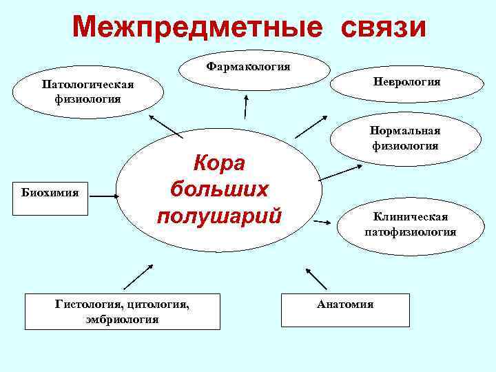 Межпредметных модулей. Межпредметные связи. Межпредметные связи анатомии и физиологии. Связь фармакологии с другими науками.