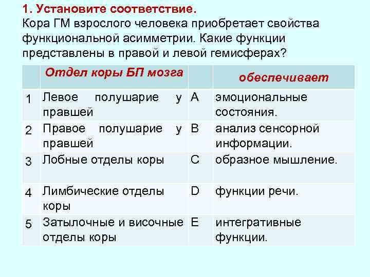 1. Установите соответствие. Кора ГМ взрослого человека приобретает свойства функциональной асимметрии. Какие функции представлены