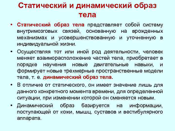 Статический и динамический образ тела • Статический образ тела представляет собой систему внутримозговых связей,