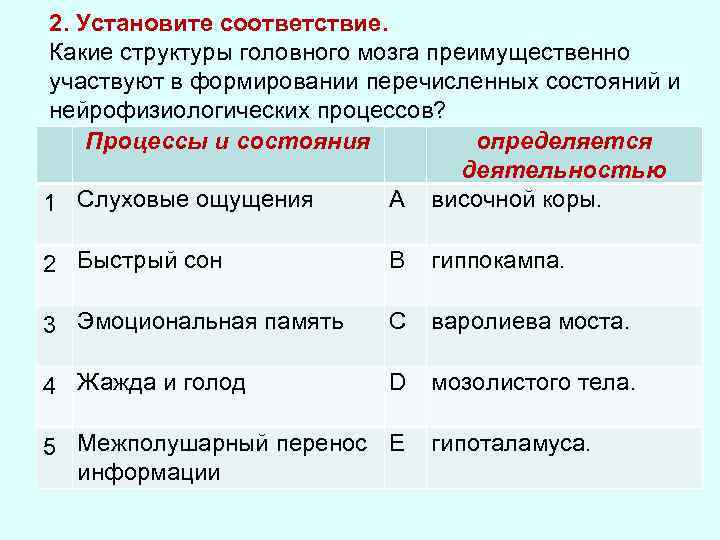 2. Установите соответствие. Какие структуры головного мозга преимущественно участвуют в формировании перечисленных состояний и