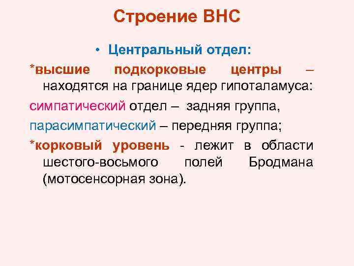 Строение ВНС • Центральный отдел: *высшие подкорковые центры – находятся на границе ядер гипоталамуса: