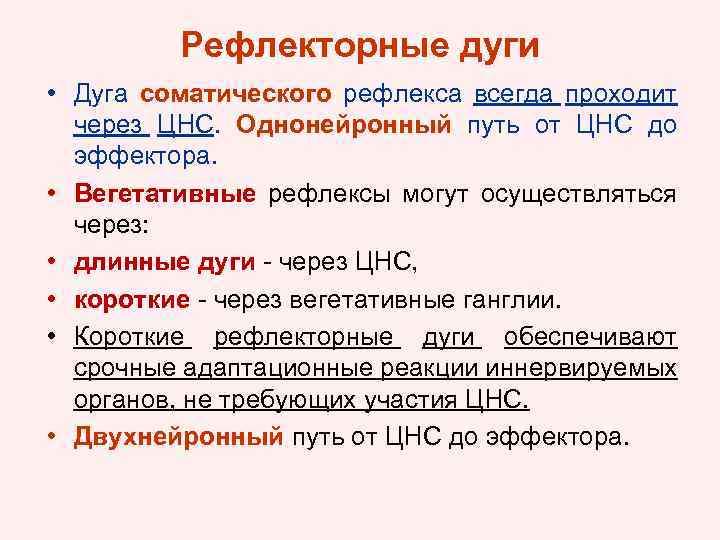 Рефлекторные дуги • Дуга соматического рефлекса всегда проходит через ЦНС. Однонейронный путь от ЦНС