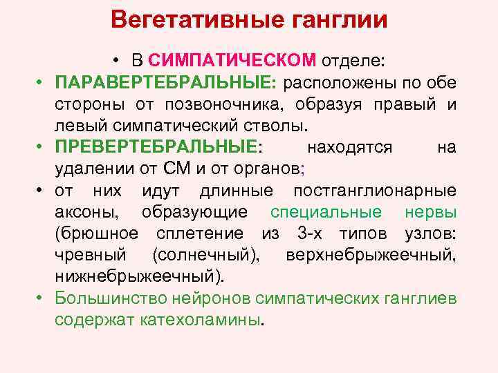 Вегетативные ганглии • • • В СИМПАТИЧЕСКОМ отделе: ПАРАВЕРТЕБРАЛЬНЫЕ: расположены по обе стороны от