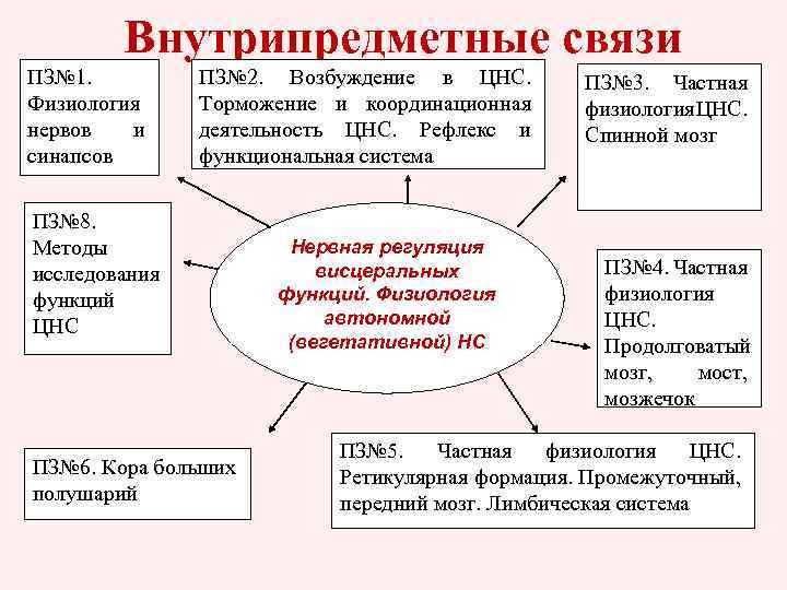 Внутрипредметные связи ПЗ№ 1. Физиология нервов и синапсов ПЗ№ 2. Возбуждение в ЦНС. Торможение