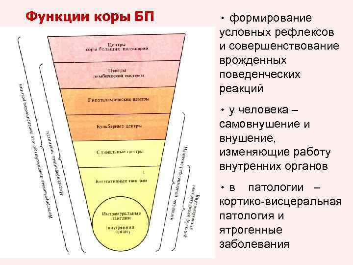 Функции бп