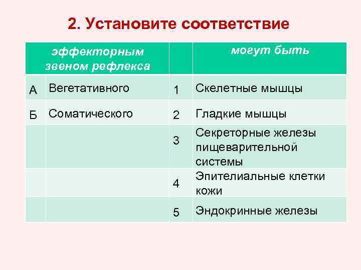 2. Установите соответствие могут быть эффекторным звеном рефлекса А Вегетативного 1 Скелетные мышцы Б