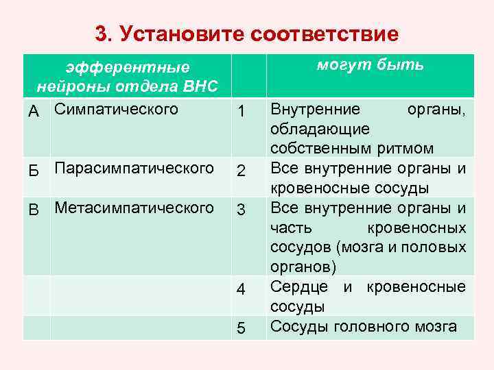 3. Установите соответствие могут быть эфферентные нейроны отдела ВНС А Симпатического 1 Б Парасимпатического
