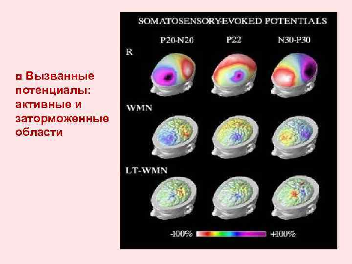 ◘ Вызванные потенциалы: активные и заторможенные области 