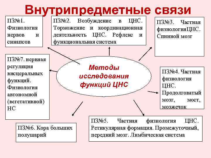 Внутрипредметные связи ПЗ№ 1. Физиология нервов и синапсов ПЗ№ 2. Возбуждение в ЦНС. Торможение