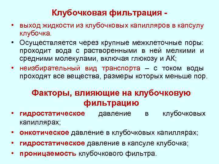 Что такое фильтрация. Механизм клубочковой фильтрации физиология. Клубочковая фильтрация физиология. Механизм клубочковая ультрафильтрация. Проницаемость капсулы клубочков для различных веществ.