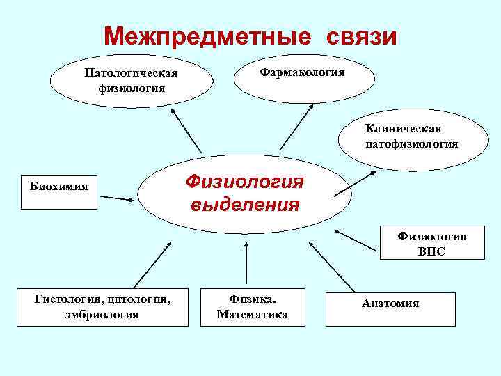 Курсовая работа по теме Физиология выделения 