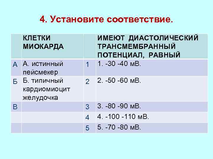 4. Установите соответствие. КЛЕТКИ МИОКАРДА А А. истинный пейсмекер Б Б. типичный кардиомиоцит желудочка