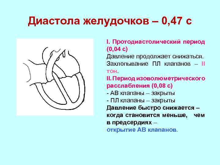 Диастола желудочков – 0, 47 с I. Протодиастолический период (0, 04 с) Давление продолжает