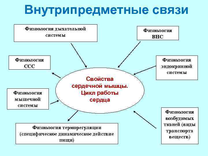 Внутрипредметные связи Физиология дыхательной системы Физиология эндокринной системы Физиология ССС Физиология мышечной системы Физиология