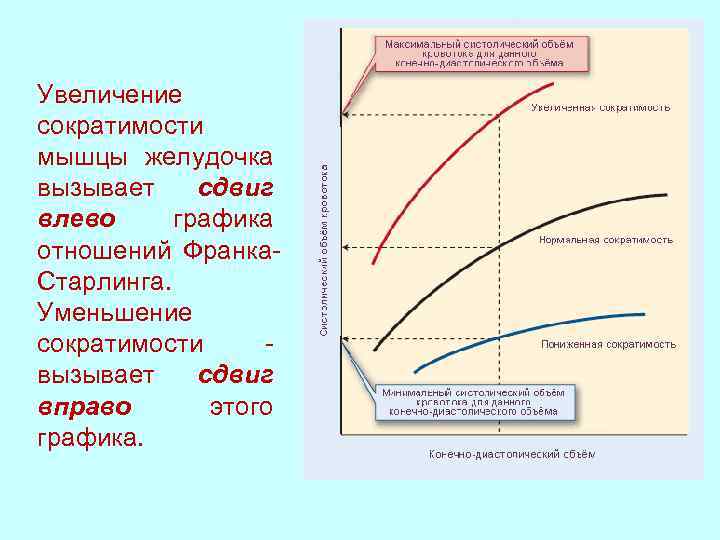 Индексы сократимости. График Старлинга. Кривая Франка Старлинга. График Франка Старлинга. Сократимость сердца увеличивается с увеличением концентрации.