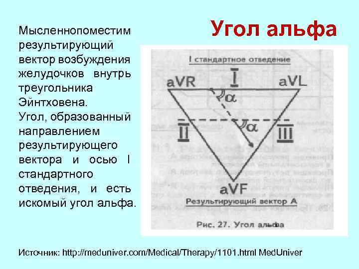 Угол альфа. Электрическая ось сердца треугольник Эйнтховена. Треугольник Эйнтховена угол Альфа. Треугольник Эйнтховена стандартные отведения. Треугольник Эйнтховена ЭОС.