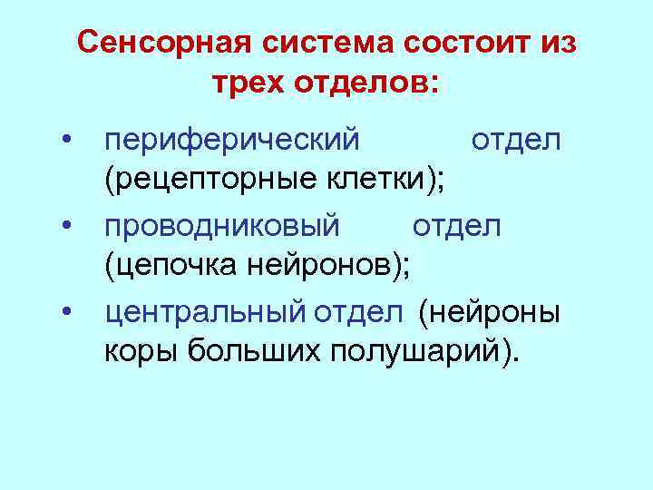 Сенсорная система презентация