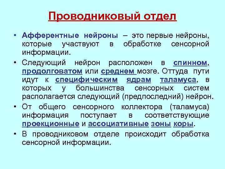 Проводниковый отдел • Афферентные нейроны – это первые нейроны, которые участвуют в обработке сенсорной