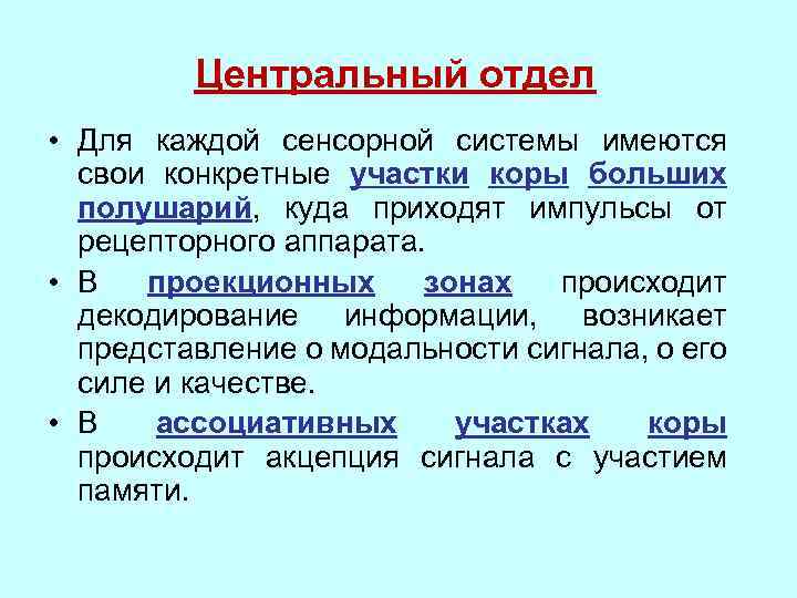 Центральный отдел • Для каждой сенсорной системы имеются свои конкретные участки коры больших полушарий,