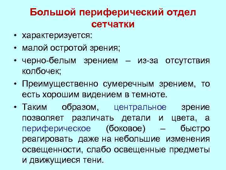 Большой периферический отдел сетчатки • характеризуется: • малой остротой зрения; • черно-белым зрением –
