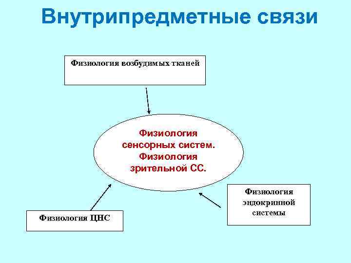 Внутрипредметные связи Физиология возбудимых тканей Физиология сенсорных систем. Физиология зрительной СС. Физиология ЦНС Физиология