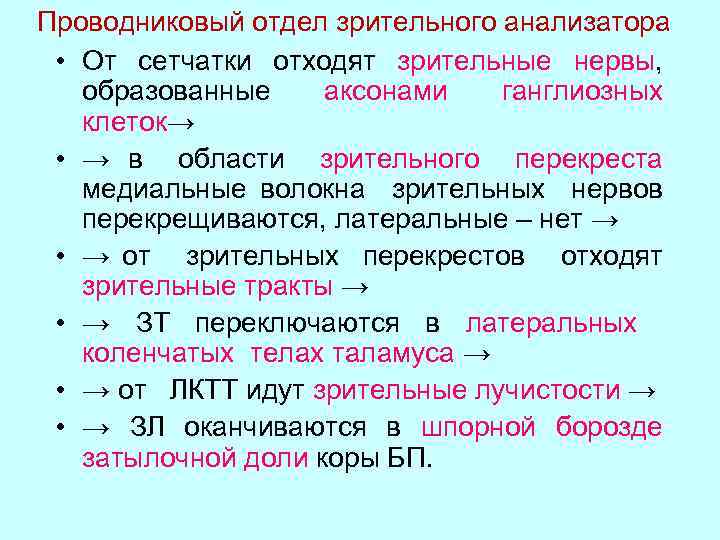 Строение проводникового отдела. Проводниковый отдел анализатора физиология. Проводниковый отдел зрительного анализатора.