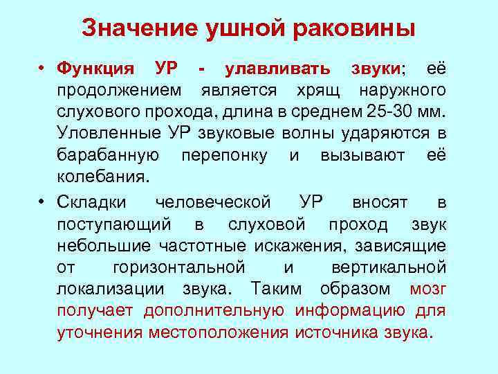Значение ушной раковины • Функция УР - улавливать звуки; её продолжением является хрящ наружного