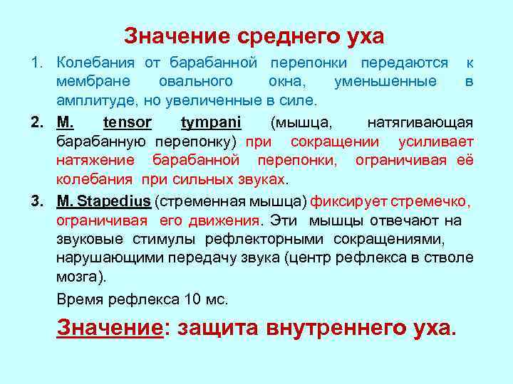 Значение среднего уха 1. Колебания от барабанной перепонки передаются к мембране овального окна, уменьшенные