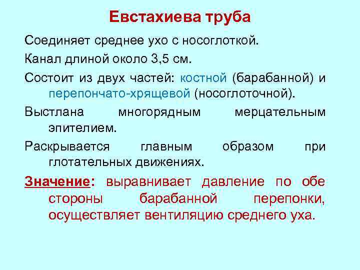 Евстахиева труба Соединяет среднее ухо с носоглоткой. Канал длиной около 3, 5 см. Состоит