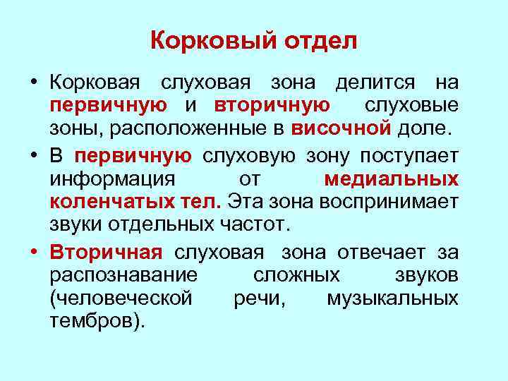 Корковый отдел • Корковая слуховая зона делится на первичную и вторичную слуховые зоны, расположенные