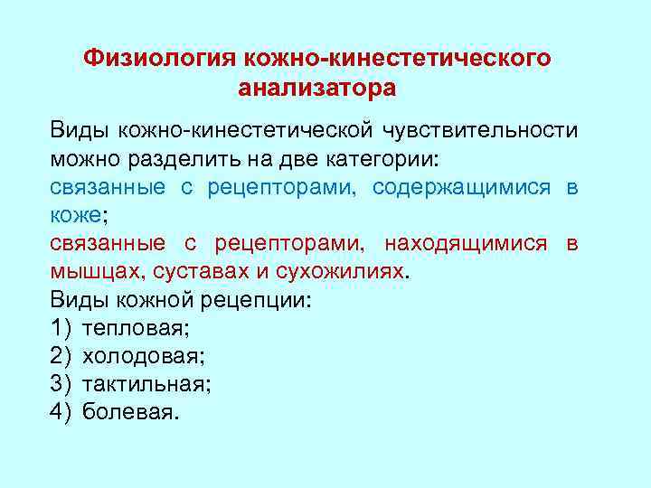 Нарисовать и обозначить виды рецепторов кожной и кинестетической чувствительности